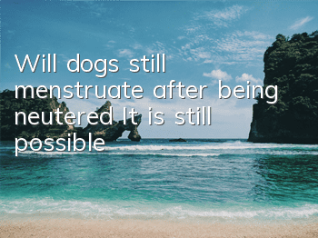 Will dogs still menstruate after being neutered? It is still possible!