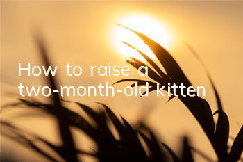 How to raise a two-month-old kitten