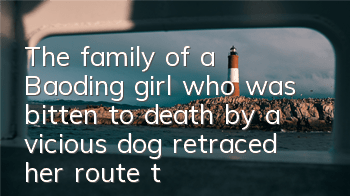 TThe family of a Baoding girl who was bitten to death by a vicious dog retraced her route to school: 500,000 yuan has been collected in settlement