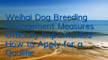 TWeihai Dog Breeding Management Measures Officially Implemented How to Apply for a Qualified ID Card for a Dog