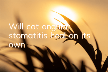 TWill cat angular stomatitis heal on its own?