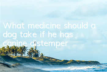 TWhat medicine should a dog take if he has canine distemper?