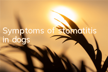 Symptoms of stomatitis in dogs
