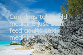 Can dogs take cold medicine? Just don’t feed adults cold medicine!
