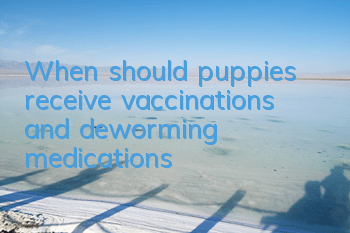 TWhen should puppies receive vaccinations and deworming medications?