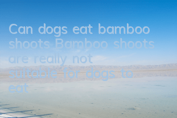Can dogs eat bamboo shoots? Bamboo shoots are really not suitable for dogs to eat!