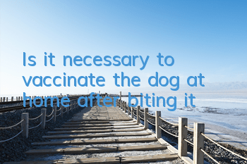 Is it necessary to vaccinate the dog at home after biting it?