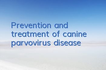 TPrevention and treatment of canine parvovirus disease