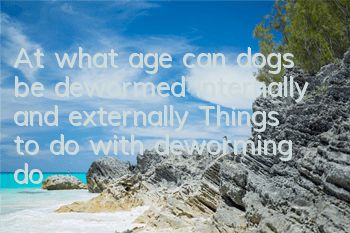 TAt what age can dogs be dewormed internally and externally? Things to do with deworming dogs!