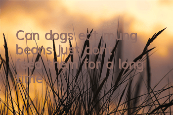 TCan dogs eat mung beans? Just don’t feed them for a long time!