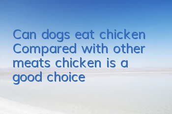 Can dogs eat chicken? Compared with other meats, chicken is a good choice!