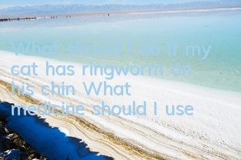 TWhat should I do if my cat has ringworm on his chin? What medicine should I use?
