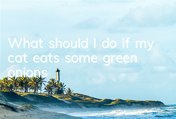 TWhat should I do if my cat eats some green onions?