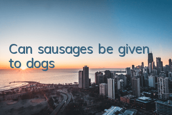 TCan sausages be given to dogs?