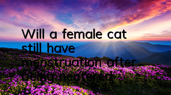 TWill a female cat still have menstruation after being neutered?