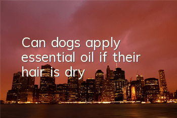 Can dogs apply essential oil if their hair is dry?