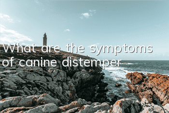 TWhat are the symptoms of canine distemper?