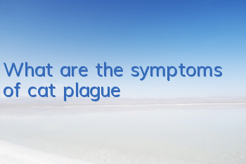 TWhat are the symptoms of cat plague?